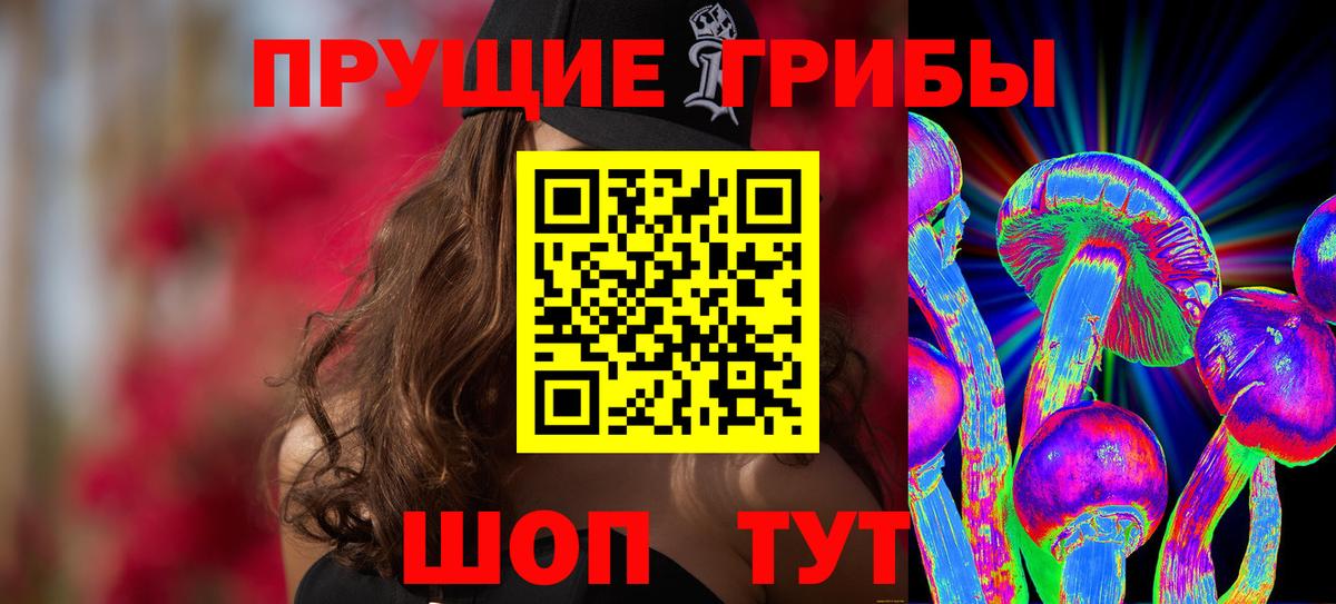 Великий Устюг  Галлюциногенные грибы Psilocybine cubensis  Вход с VPN 